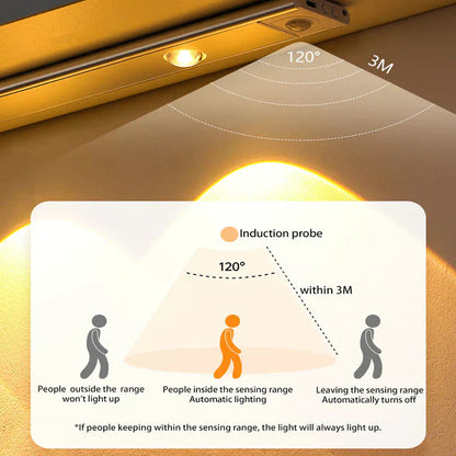 Luminare - Motion Sensor Light